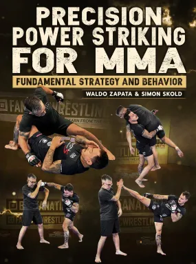 Precision Power Striking For MMA by Waldo Zapata & Simon Skold