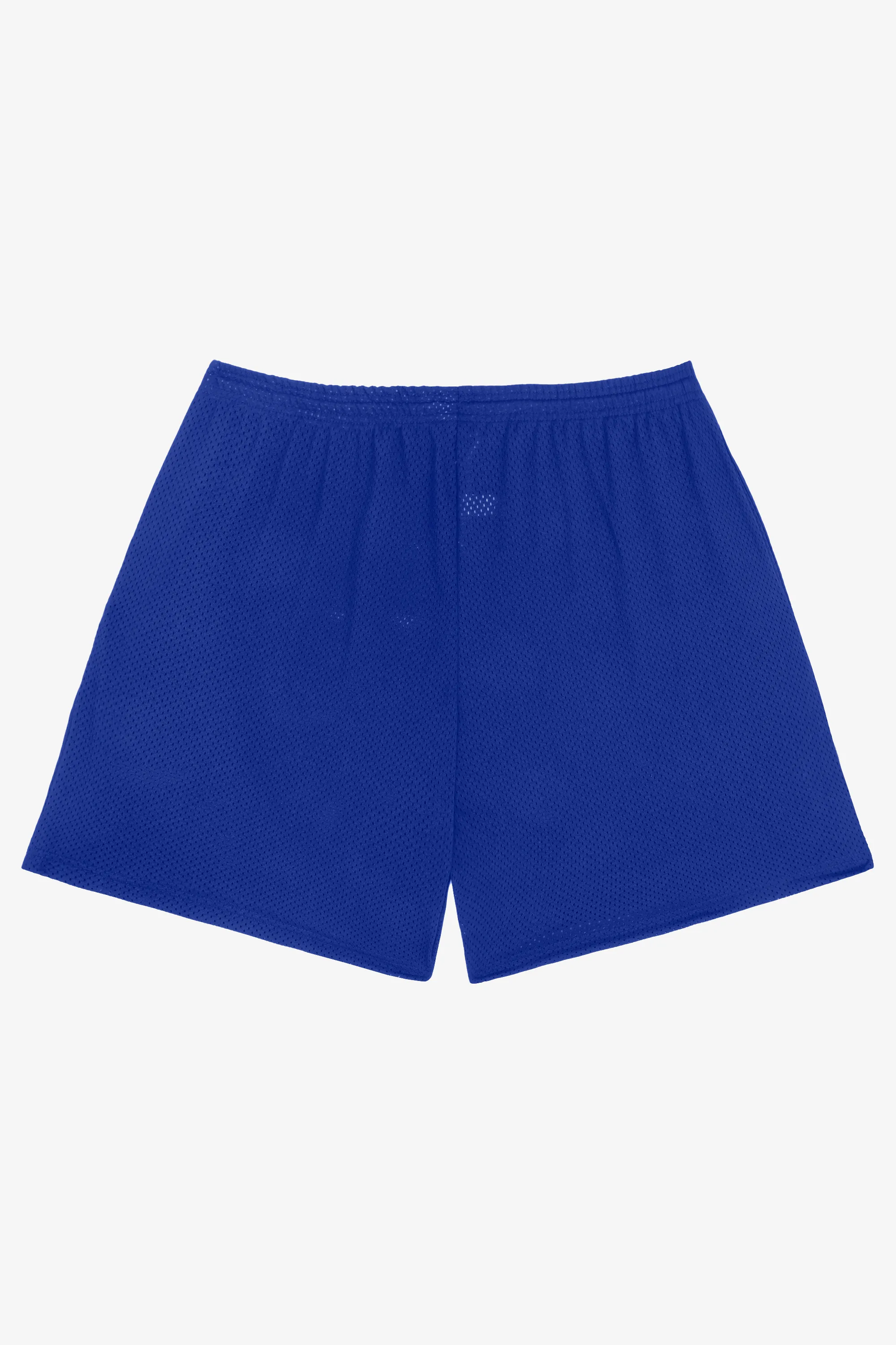 PRM442 - Pro Mesh Gym Shorts