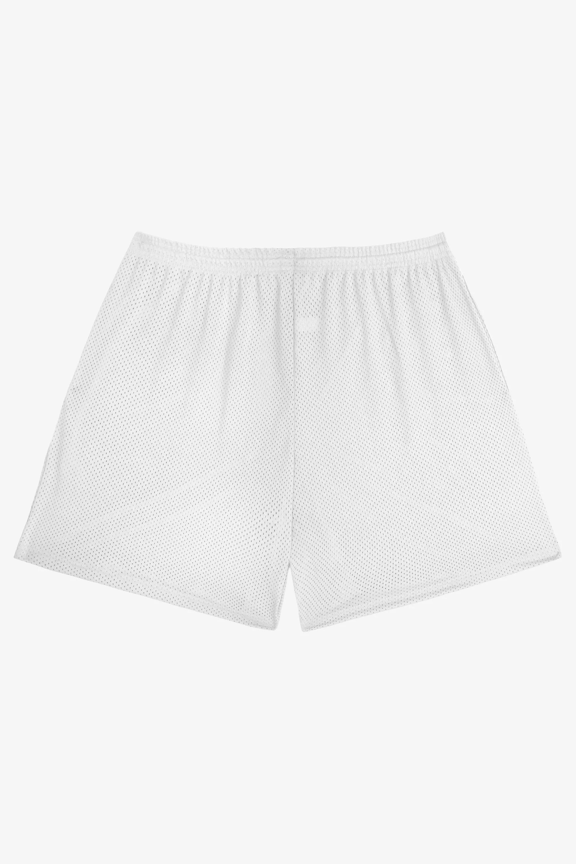 PRM442 - Pro Mesh Gym Shorts