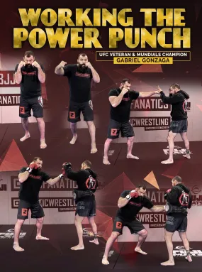 Working The Power Punch by Gabriel Gonzaga